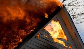 У нищівній пожежі на Рахівщині загинула власниця дачного будинку
