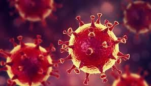 За добу в Ужгороді виявлено 61 новий випадок коронавірусної інфекції