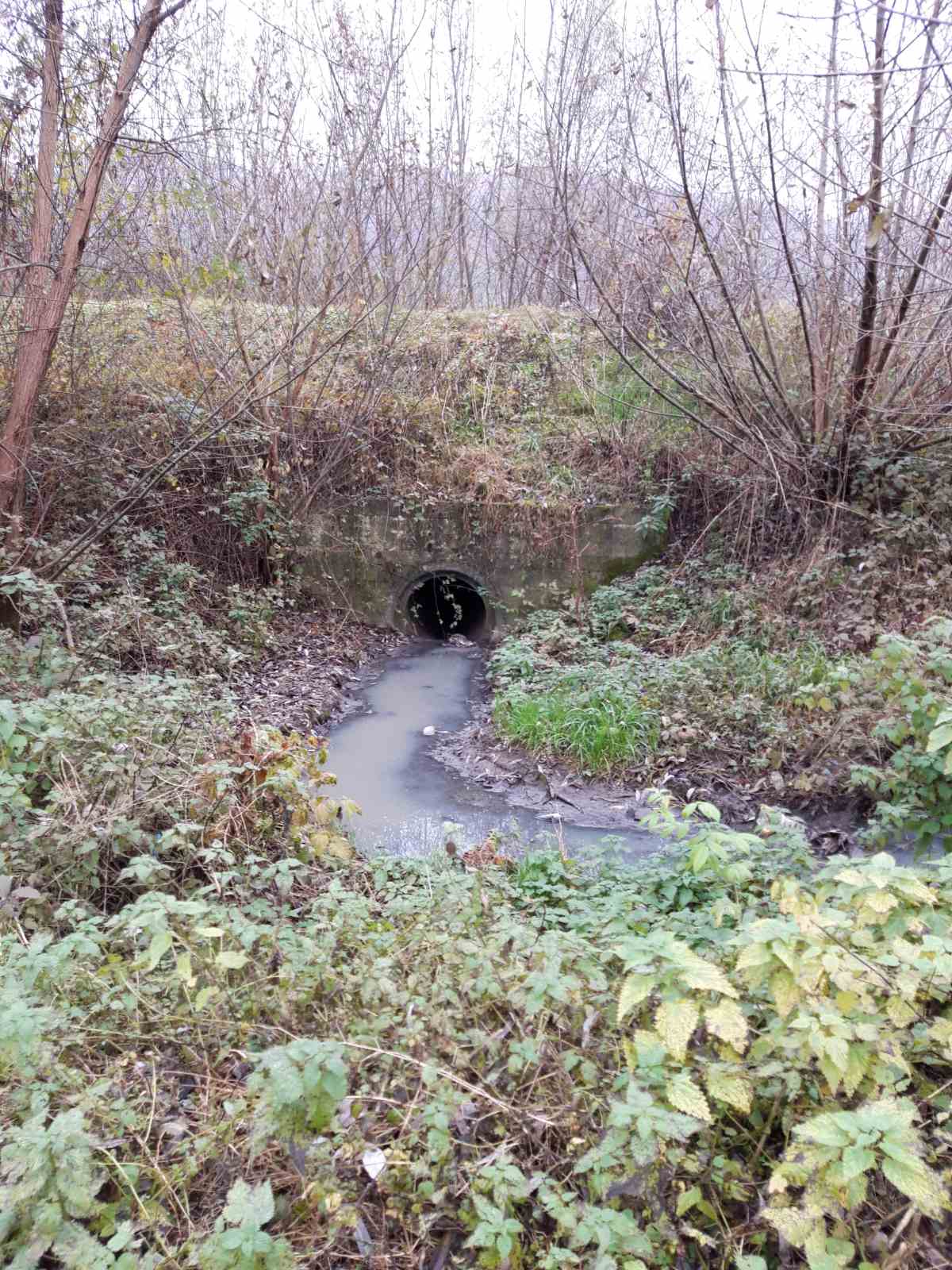 На Тячівщині встановили перевищення норм граничнодопустимих скидів стічних вод у річку Тересва
