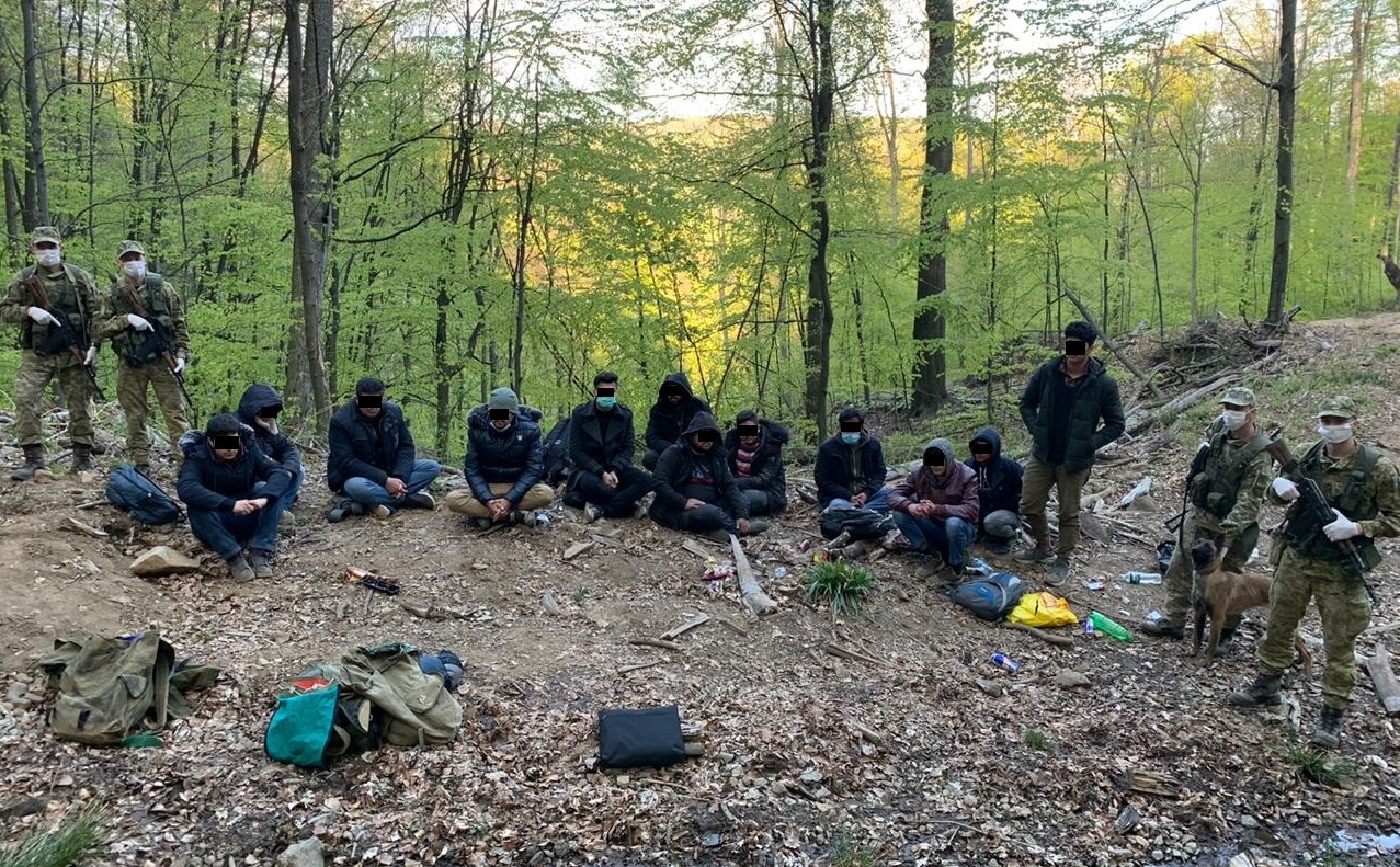 У лісі на Ужгородщині затримали групу з 12 нелегалів-афганців (ФОТО)