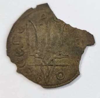 На Житомирщині знайшли найбільший скарб монет князя Володимира за 100 років (ФОТО)