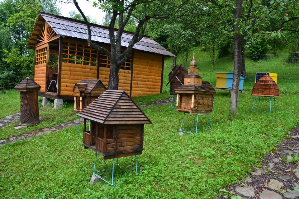 На Міжгірщині з'явилося бджолине "село" (ФОТО)