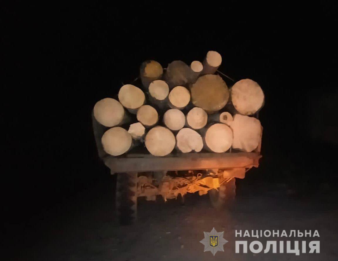 У Соймах на Закарпатті зупинили вантажівку з нелегальною деревиною (ФОТО)