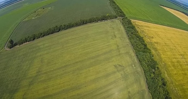 Найвищі ціни на сільськогосподарські ділянки, що продають в Україні – на Закарпатті 