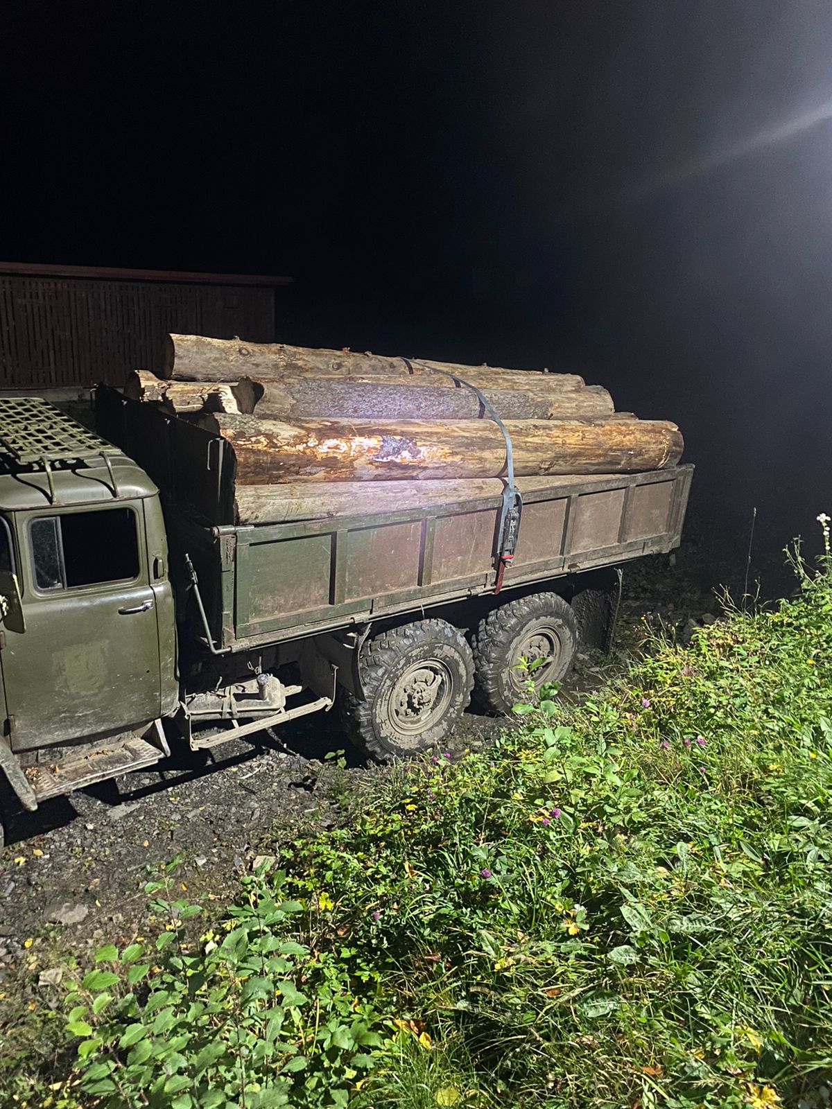На Рахівщині зупинили вантажівку, що перевозила нелегальну деревину (ФОТО)