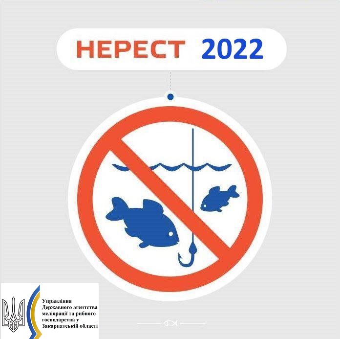 На Закарпатті з 10 вересня вводить нерестова заборона вилову водних біоресурсів 