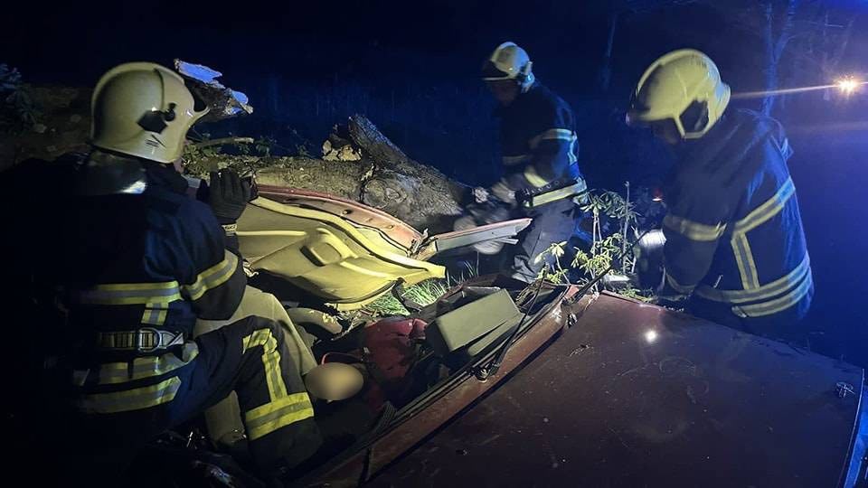 У поліції розповіли про деталі смертельної ДТП на Хустщині: водій з'їхав у кювет і врізався у дерево (ФОТО)