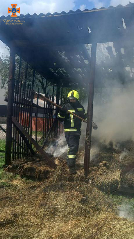 На Тячівщині сусіди вивели з палаючого будинку господиню, що спала в кімнаті (ФОТО)