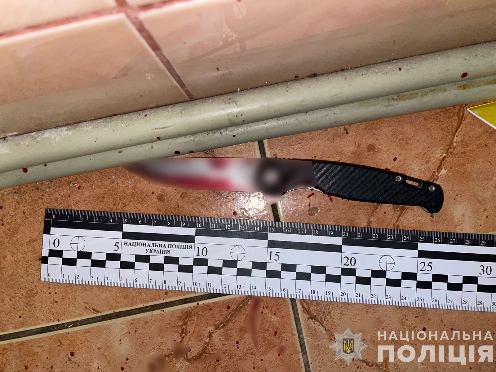 У Мукачеві 19-річна донька вбила ножем у шию свого 52-річного батька (ФОТО)