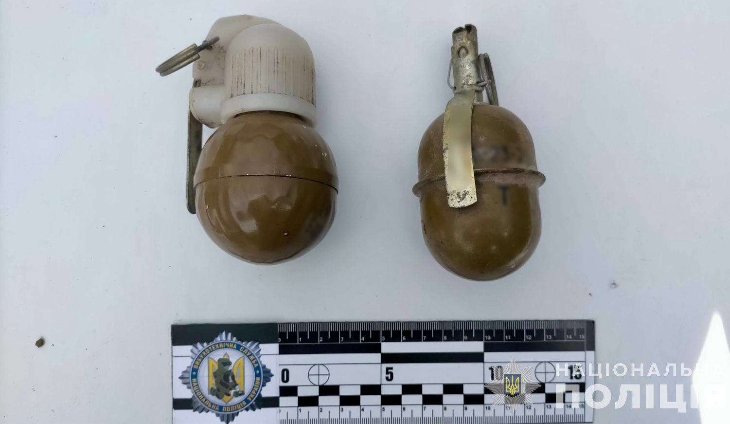 Житель Туриці, що на Ужгородщині, зберігав вдома дві бойові гранати (ФОТО)