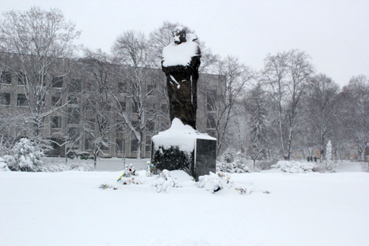 Щоб покласти квіти до пам’ятника Шевченку, УДАРівцям довелося «підмінити» комунальників (ФОТО)