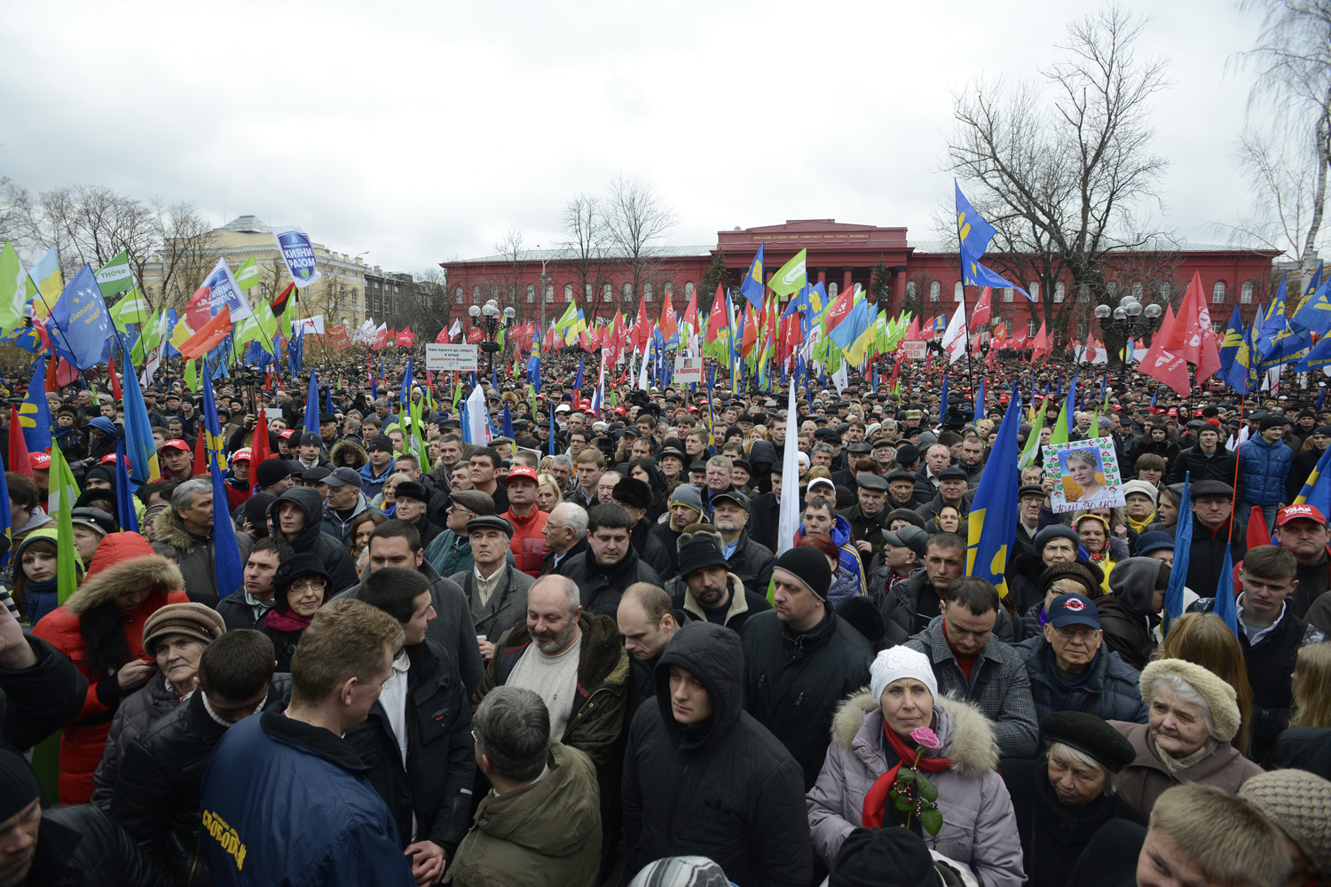Закарпатці долучилися до акції опозиції в Києві “Вставай, Україно!”
