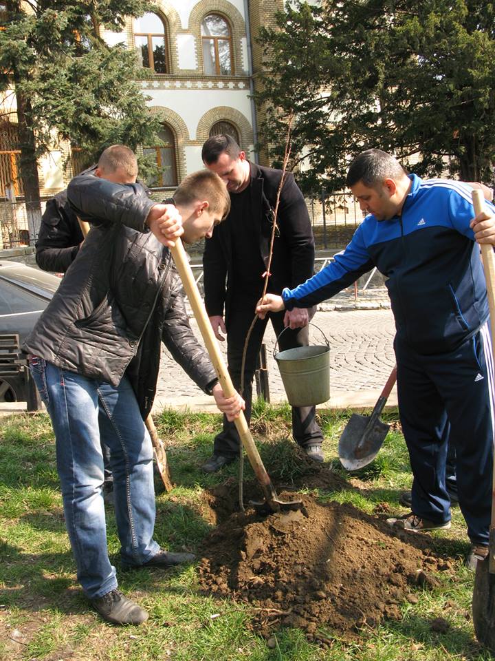 Ужгородські єдиноцентристи посадили в місті ще 50 дерев (ФОТО, ВІДЕО)