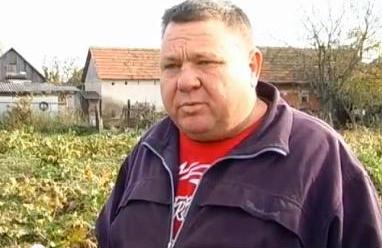 Жителі села на Мукачівщині із покоління в покоління займаються вирощуванням хрону (ВІДЕО)