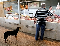 Купуючи до свята ковбаси, поцікавтеся у продавця ветеринарною довідкою