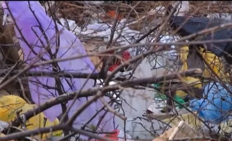 З настанням весни в Ужгороді додалося сміття (ВІДЕО)