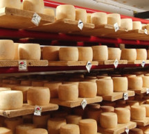 У Нижньому Селищі 9 працівників виготовляють сир за швейцарськими технологіями (ВІДЕО)