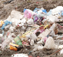 Тіло немовляти, що загинуло від больового шоку, на сміттєзвалищі біля Хуста знайшли цигани (ВІДЕО)