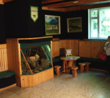 Історію та сьогодення Карпат представлено в рахівському музеї "Екології гір" (ВІДЕО)