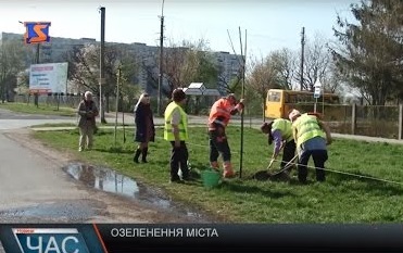 На озеленення Мукачева витратять 4,5 млн грн платників податків (ВІДЕО)