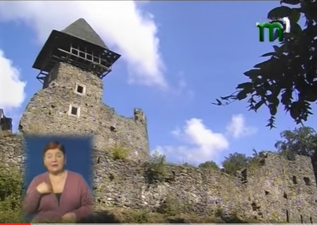 Невицький замок на Закарпатті найперше потребує консерваційних робіт та наукових досліджень (ВІДЕО) 
