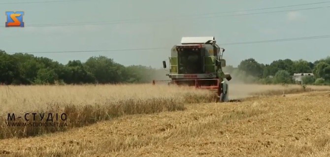 Врожай зернових на Закарпатті має бути не меншим торішнього (ВІДЕО)