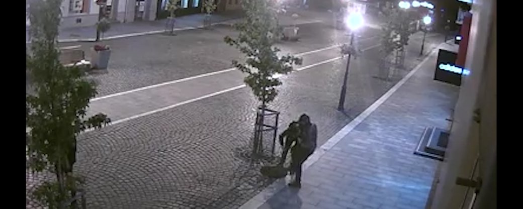 Невідомі пошкодили дерева на площі Петефі в Ужгороді (ВІДЕО)