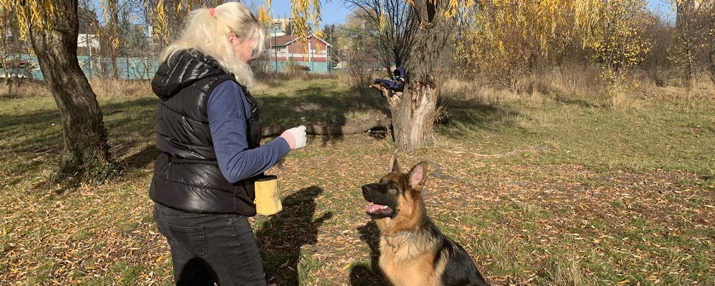 Через відсутність спеціальних місць для вигулу собак в Ужгороді хочуть зміювати генплан
