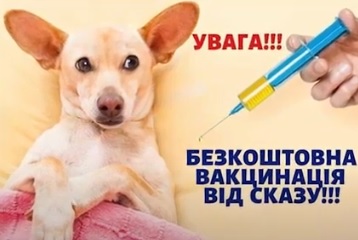 У Мукачеві безкоштовно вакцинували тварин від сказу (ВІДЕО)