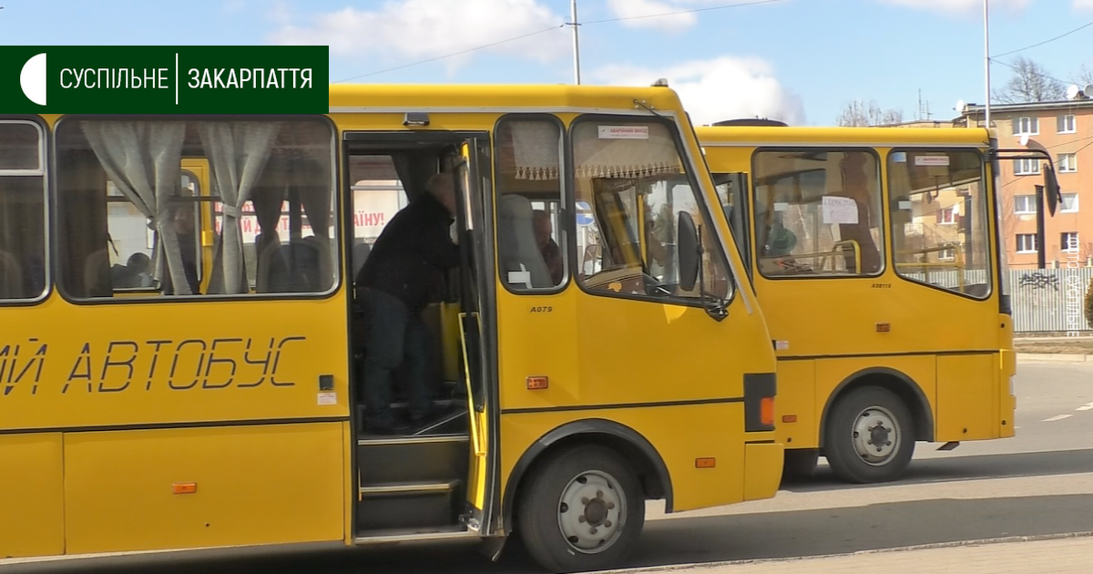 12 автобусів щодня відвозять у територіальні громади вимушених переселенців з Ужгородського вокзалу (ВІДЕО)