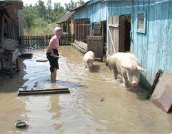 Від сильних дощів 15-16 червня та 3-4 липня сільгоспідприємства Мукачівщини зазнали збитків на понад 5 млн.