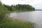 Розчарованій у коханні мукачівці не дали втопитися в ужгородському озері