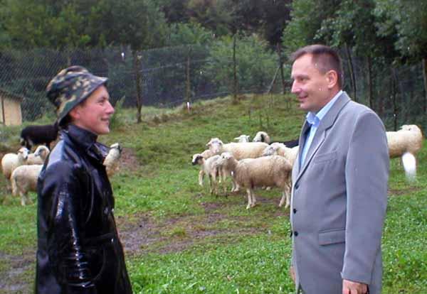 Київський інвестор взявся відроджувати вівчарську справу на Закарпатті