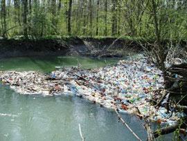 Молодь Чопа прибиратиме від сміття Теребле-Ріцьке водосховище 