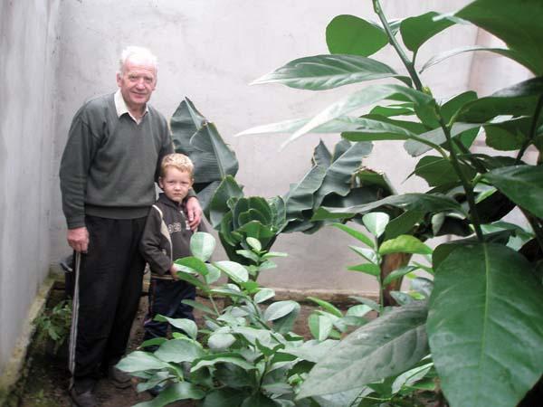 Житель закарпатської Тячівщини у своєму саду вирощує екзотичні рослини (ФОТО)