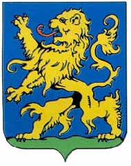 Берегово: На виборах до Закарпатської облради перемогла Демократична партія угорців України