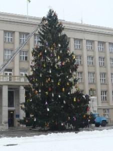 Сьогодні в Ужгороді урочисто відкриють головну новорічну ялинку Закарпаття