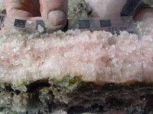 У соляних кристалах знайшли живі бактерії віком 34 тис. років 