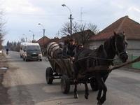 У селі на Ужгородщині вночі вкрали металеві плити з чотирьох містків
