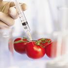 Закарпатські продукти на ГМО перевіряє Івано-Франківська лабораторія