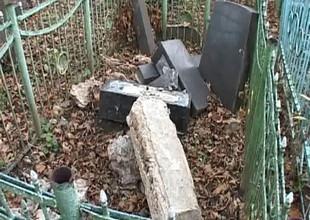 В Ужгороді затримали вандала, який пошкодив 5 надмогильних пам'ятників