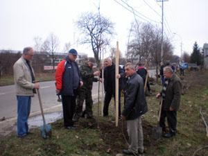 Завтра у Мукачеві висадять 400 дерев