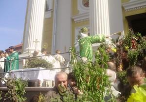 У греко-католицькому Хрестовоздвиженському кафедральному соборі Ужгорода освячували вербу (ФОТО)