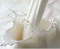 На фоні загального зростання цін молочна продукція на Закарпатті здешевшала