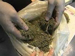 В Ужгороді міліціонери вилучили в мукачівця 100 грамів марихуани