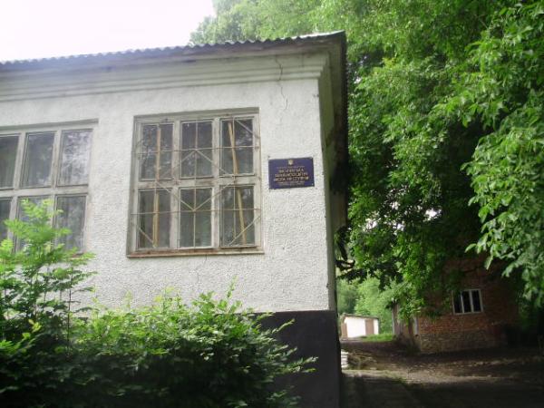 Школу в закарпатському Лисичеві не ремонтували з часу її будівництва (ФОТО)