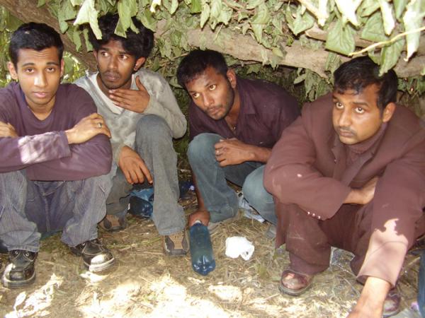 На Закарпатті затримали 8 нелегалів з Афганістану