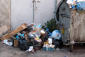 Третина підприємців у центрі Ужгорода не мають угод на вивезення сміття