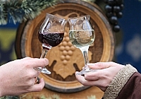 Цьогоріч в ужгородському фестивалі вина "Сонячний напій" візьмуть участь винороби з Одеси, Словаччини та Угорщини
