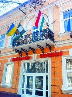 На виборах мера Берегова буде 19 кандидатів і бюлетені українською мовою